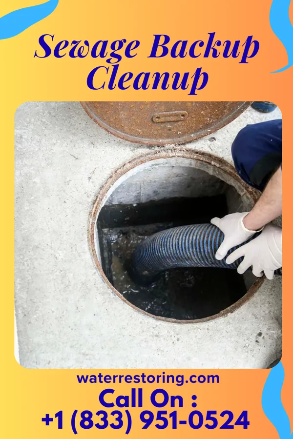 Sewage Backup Cleanup in Quinn, SD